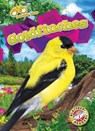 Goldfinches - Elizabeth Neuenfeldt - 9781644874936