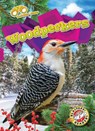 WOODPECKERS - Rachael Barnes - 9781644876947