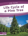 Life Cycle of a Pine Tree - Meg Gaertner - 9781644938768