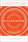 Ecclesiastes - David Gibson - 9781645071884