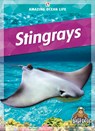 Stingrays - Colleen Sexton - 9781645195672