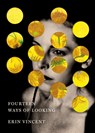 Fourteen Ways of Looking - Erin Vincent - 9781646054220