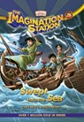 Swept Into the Sea - Sheila Seifert - 9781646070947