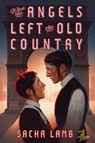 When the Angels Left the Old Country - Sacha Lamb - 9781646144556