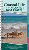 Coastal Life of the Atlantic and Gulf Coasts - Erika Zambello - 9781647551872