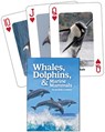 Whales, Dolphins, & Marine Mammals Playing Cards -  - 9781647555344