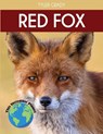 Red Fox - Tyler Grady - 9781647900984