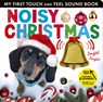 Noisy Christmas: My First Touch and Feel Sound Book - Hettie Cox - 9781664351325