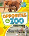 Opposites at the Zoo - Christianne Jones - 9781666326352