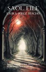 Saol Eile - Laura Pérez Macho - 9781667450872
