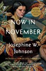 Now in November - Josephine Johnson - 9781668004227