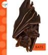Bats - Wendy Strobel Dieker - 9781681510903
