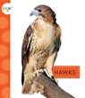 Hawks - Mari C. Schuh - 9781681515434