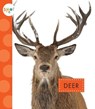 Deer - Mari C. Schuh - 9781681515441