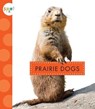 Prairie Dogs - Mari C. Schuh - 9781681515458