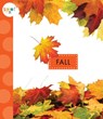 Fall - Mari C. Schuh - 9781681515526