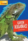 Green Iguanas - Imogen Kingsley - 9781681515588