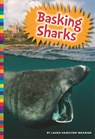 Basking Sharks - Laura Hamilton Waxman - 9781681520872