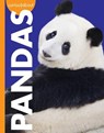 Curious about Pandas - Amy S. Hansen - 9781681527024