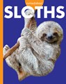 Curious about Sloths - Amy S. Hansen - 9781681527048