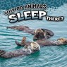 Why Do Animals Sleep There? - Sam George - 9781681918259