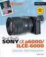 David Busch's Sony Alpha a6000/ILCE-6000 Guide to Digital Photography - David D. Busch - 9781681981901