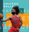 Chicago Bulls - Joe Tischler - 9781682776179