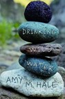 Drinking Wild Water - Amy M. Hale - 9781682832769
