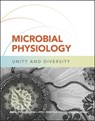 Microbial Physiology - Ann M. Stevens ; Jayna L. Ditty ; Rebecca E. Parales ; Susan M. Merkel - 9781683673699