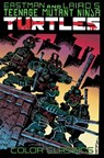 Teenage Mutant Ninja Turtles Color Classics, Vol. 1 - Kevin Eastman ; Peter Laird - 9781684051601