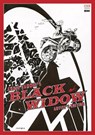 Chris Samnee's Black Widow Artist's Edition - Chris Samnee ; Mark Waid - 9781684057115
