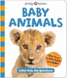 Baby Animals (Little Kids, Big Questions) - Roger Priddy - 9781684495108