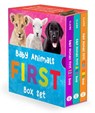 Baby Animals First Box Set: 123, ABC, Colors - CLAIRE,  Alexandra - 9781685550219