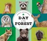Animal Adventures: Day in the Forest - Alexandra Claire - 9781685556433