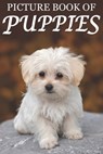 Picture Book of Puppies - Mighty Oak Books - 9781689370219