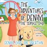 The Adventures Of Denim The Service Dog - Lisa Dicicco Cognato - 9781698718637