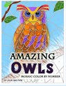 Amazing Owls Mosaic Color by Number - Color Questopia - 9781710737899