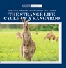 The Strange Life Cycle of a Kangaroo - MCDOUGAL,  Anna - 9781725350878