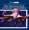 The Strange Life Cycle of an Octopus - Anna McDougal - 9781725350946
