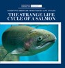 The Strange Life Cycle of a Salmon - Anna McDougal - 9781725350977