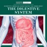 The Digestive System - MCCLURE,  Leigh - 9781725351394