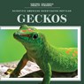 Geckos - Jagger Youssef - 9781725352858