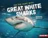 ON THE HUNT W/GRT WHITE SHARKS - Sandra Markle - 9781728456249