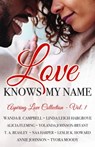 Love Knows My Name - Tyora Moody ; Linda Leigh Hargrove ; Alicia Fleming ; Yolanda Johnson-Bryant ; T. A. Beasley ; Naa Harper ; Annie Johnson ; Wanda B. Campbell - 9781733696715