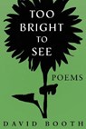 Too Bright to See - BOOTH,  David - 9781734114263