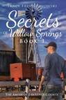 Secrets of Willow Springs - Book 3 - Tracy Fredrychowski - 9781734241174