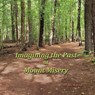 Imagining the Past at Mount Misery - Ron McAdow - 9781735733654
