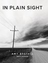 In Plain Sight - Amy Bretall - 9781735822617