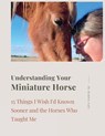 Understanding Your Miniature Horse - Kendra Gale - 9781738976423