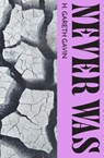 Never Was - Honor Gavin - 9781739784966